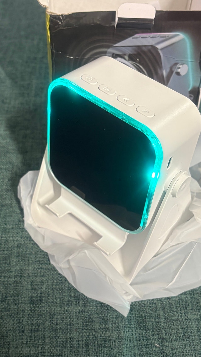Wireless Induction Speaker