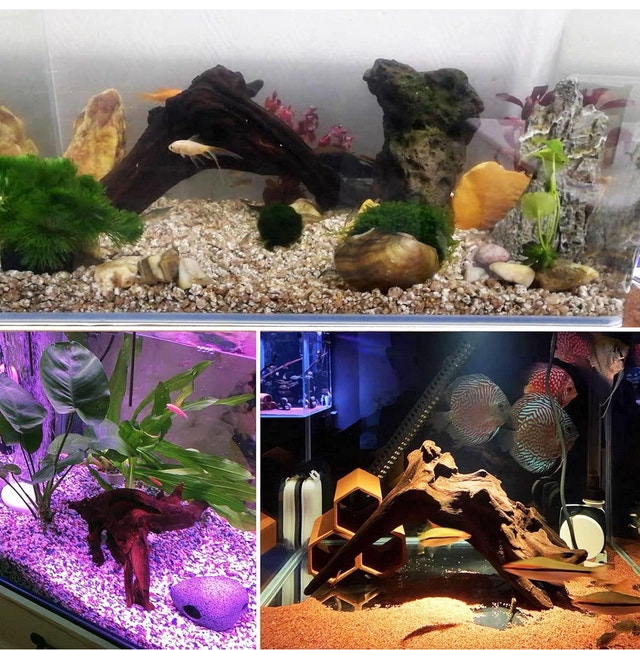 Reptiles Habitat Driftwood Decor Assorted Sizes