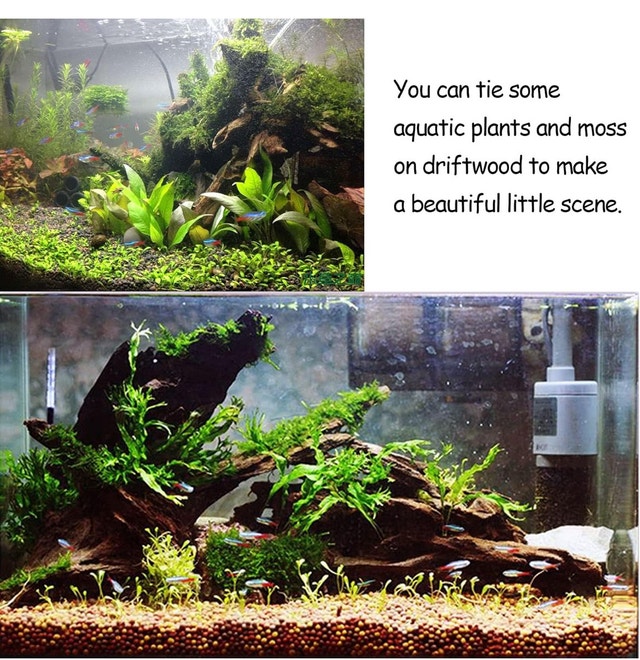 Reptiles Habitat Driftwood Decor Assorted Sizes - photo 2