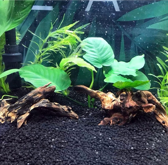 Reptiles Habitat Driftwood Decor Assorted Sizes - photo 3
