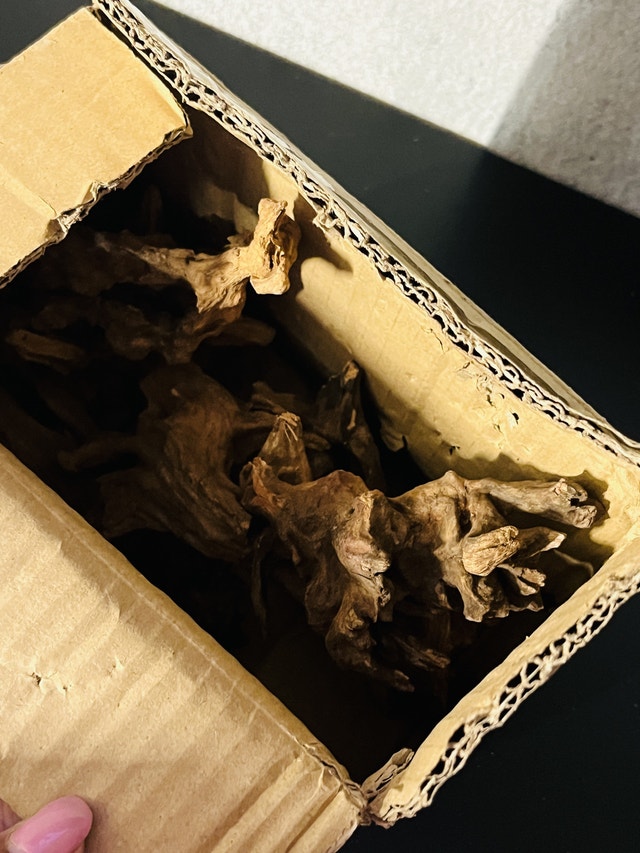 Reptiles Habitat Driftwood Decor Assorted Sizes - photo 5