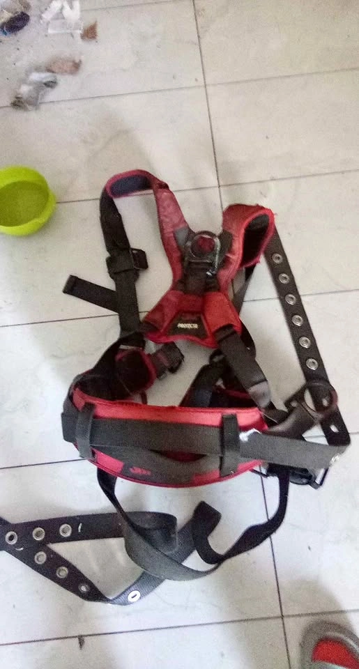 Safety Harness