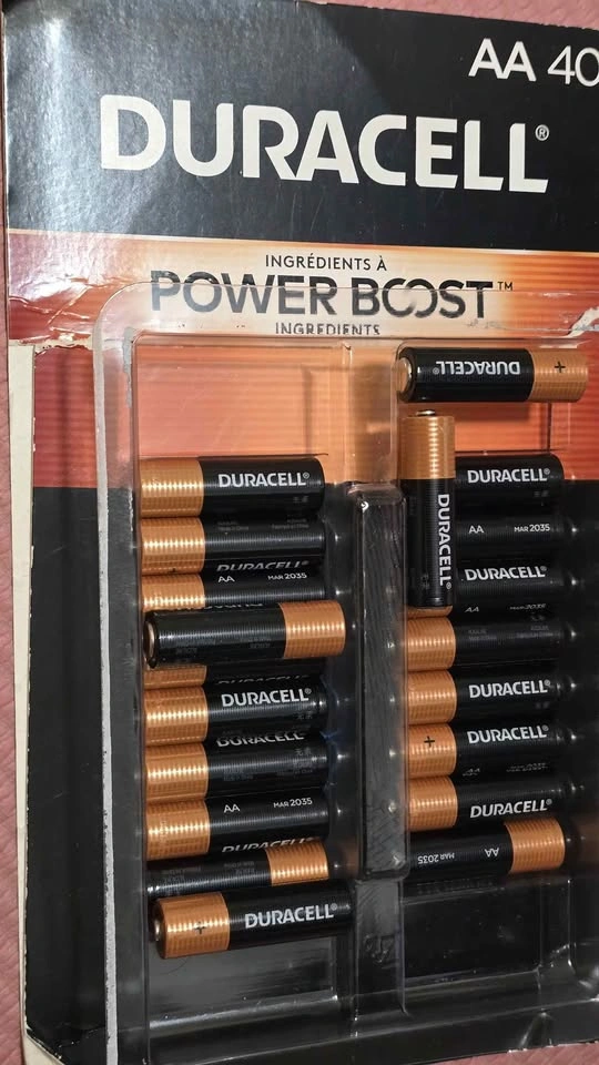 Duracell, Kirkland Signature, and Amazon Basics AA & AAA Battery - photo 2