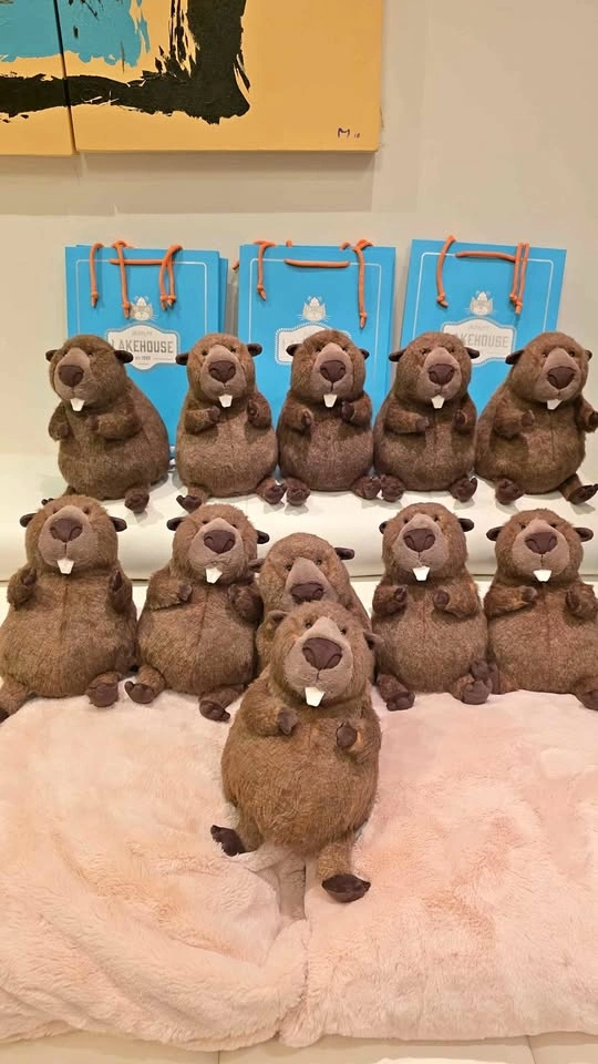 Briggs Beaver Jellycat + bag