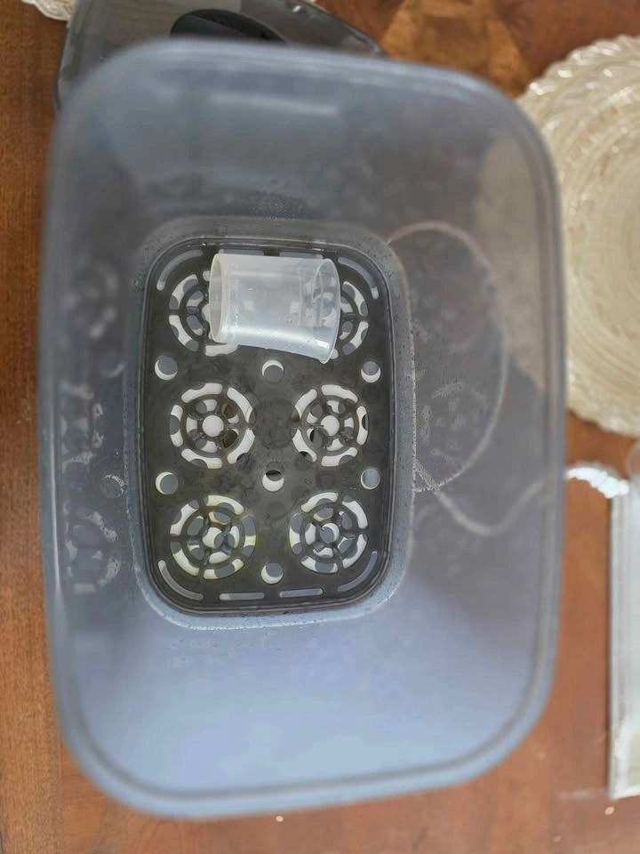 Dr. Brown's All-in-One Baby Bottle Sterilizer & Dryer - photo 4