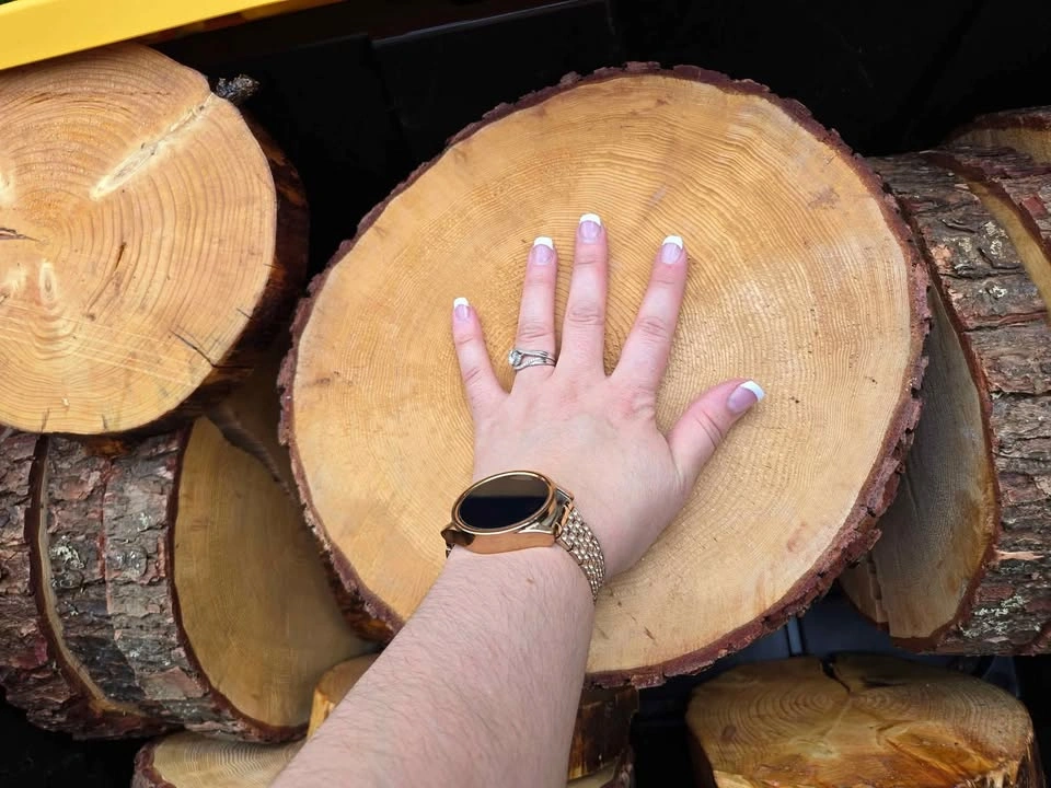 12 Large Tree Cookies - photo 2