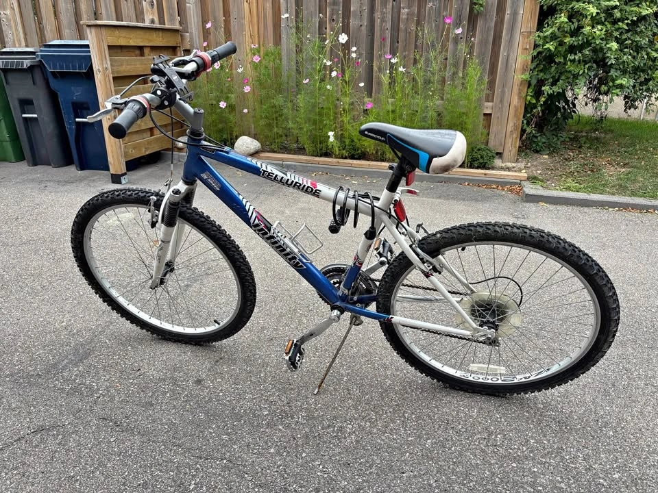 Infinity - Telluride Bicycle