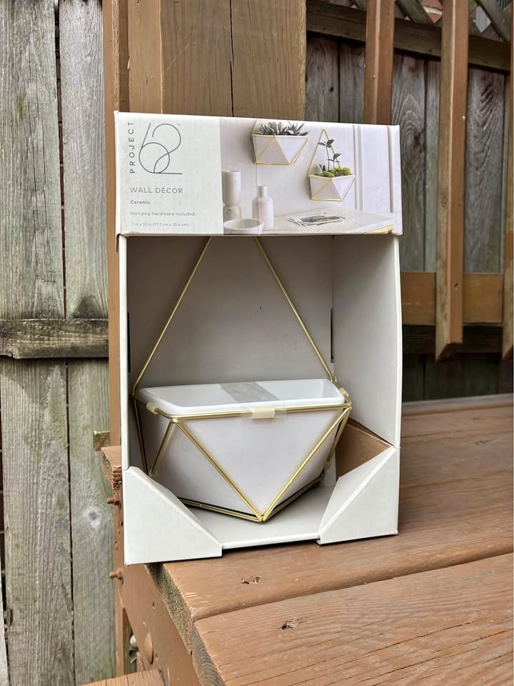 Project 62 Ceramic Hanging Succulent Planter - New In Box