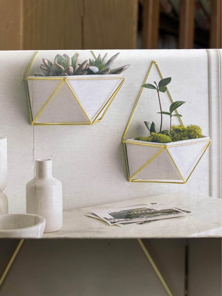 Project 62 Ceramic Hanging Succulent Planter - New In Box - photo 4
