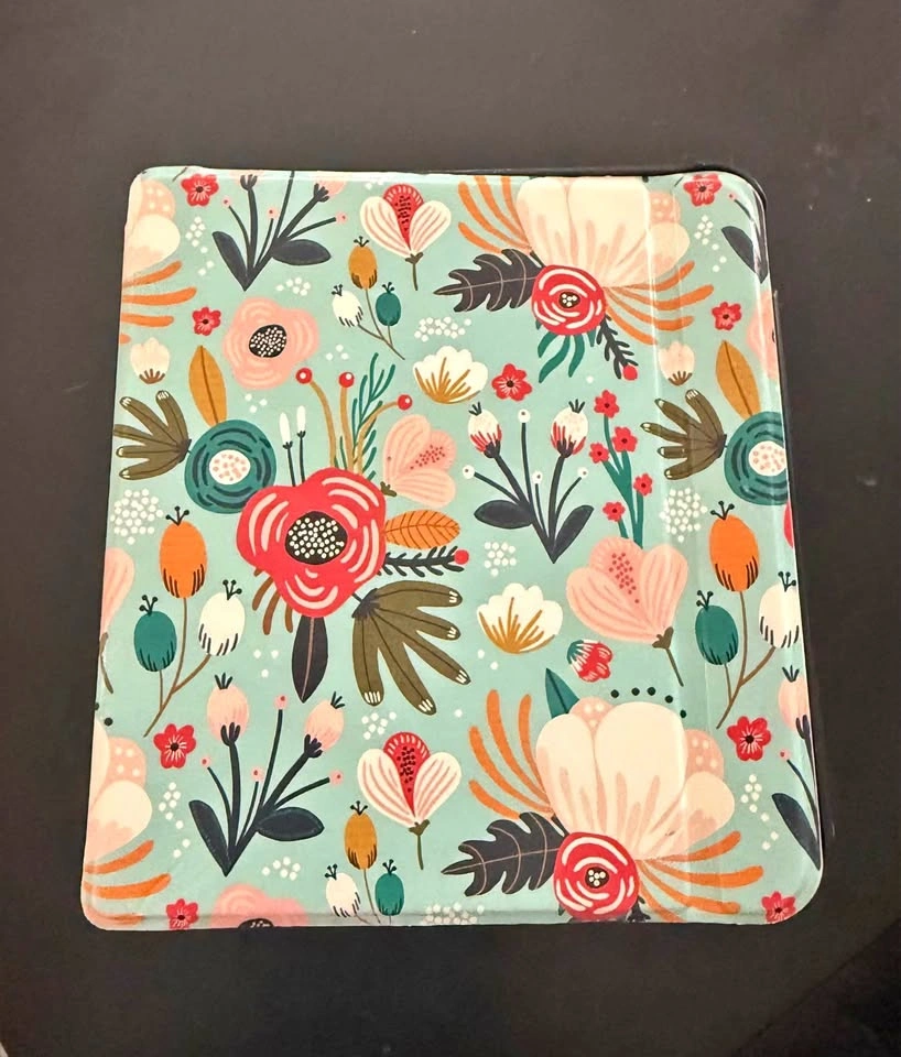 Kobo Libre case