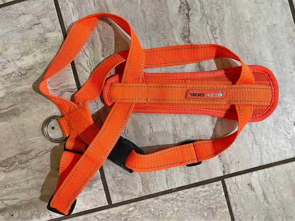 Two dog harnesses