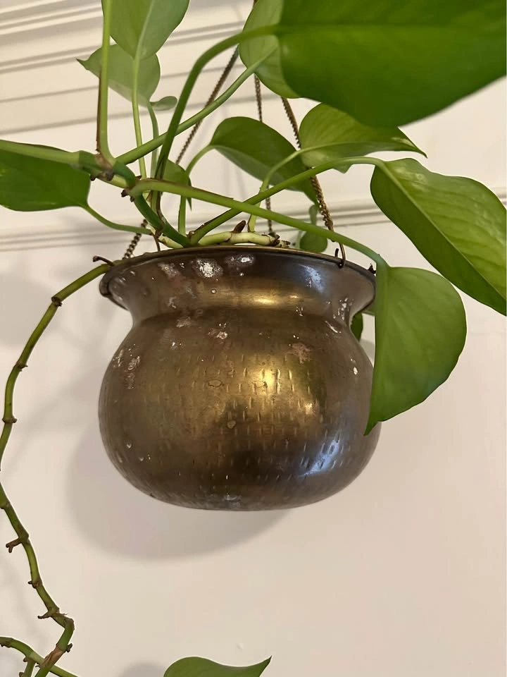 Brass pot with plant - photo 2