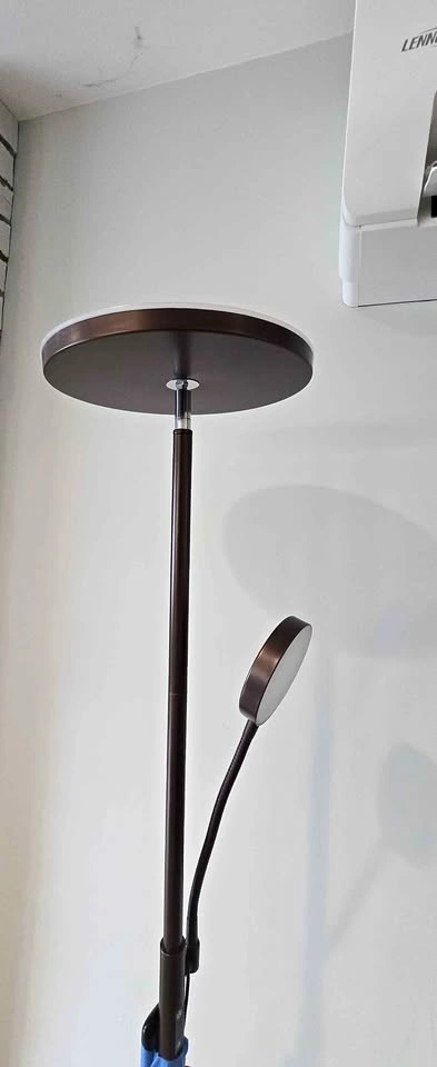 LED Floor Lamp with Remote Control & Adjustable Reading Light