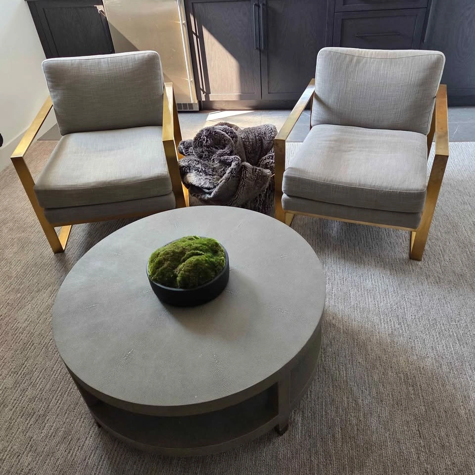 Restoration Hardware (RH) Alfieri Lounge Chairs