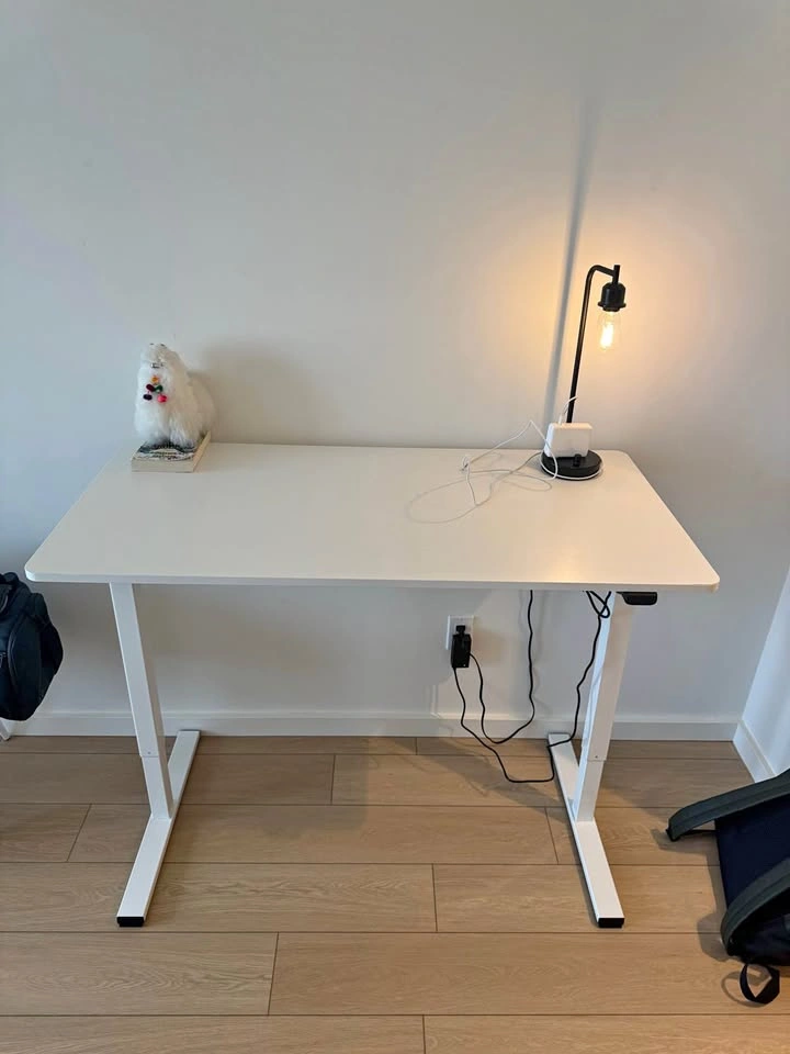 White Electric Standing Desk