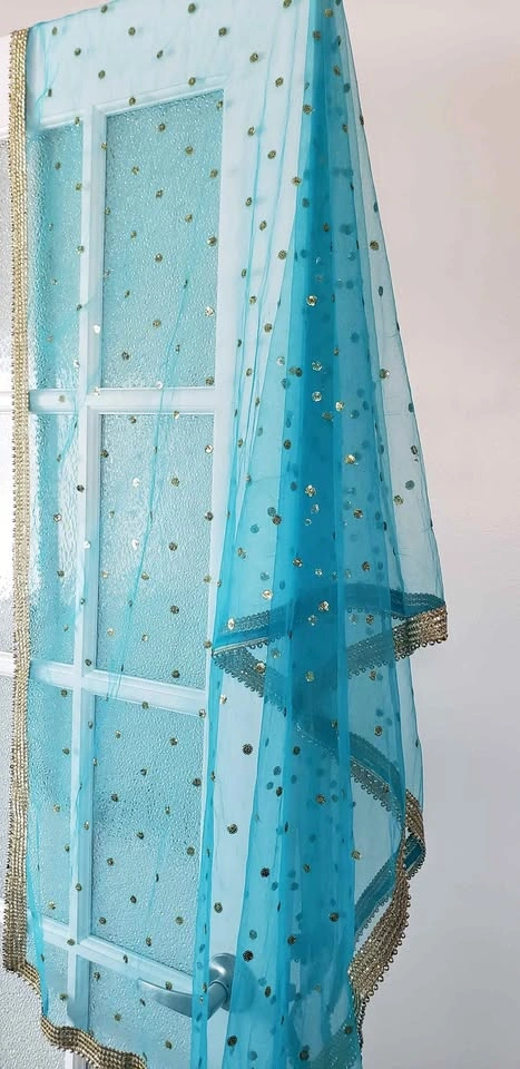 Blue Net Dupatta with Golden Sequin Embroidery