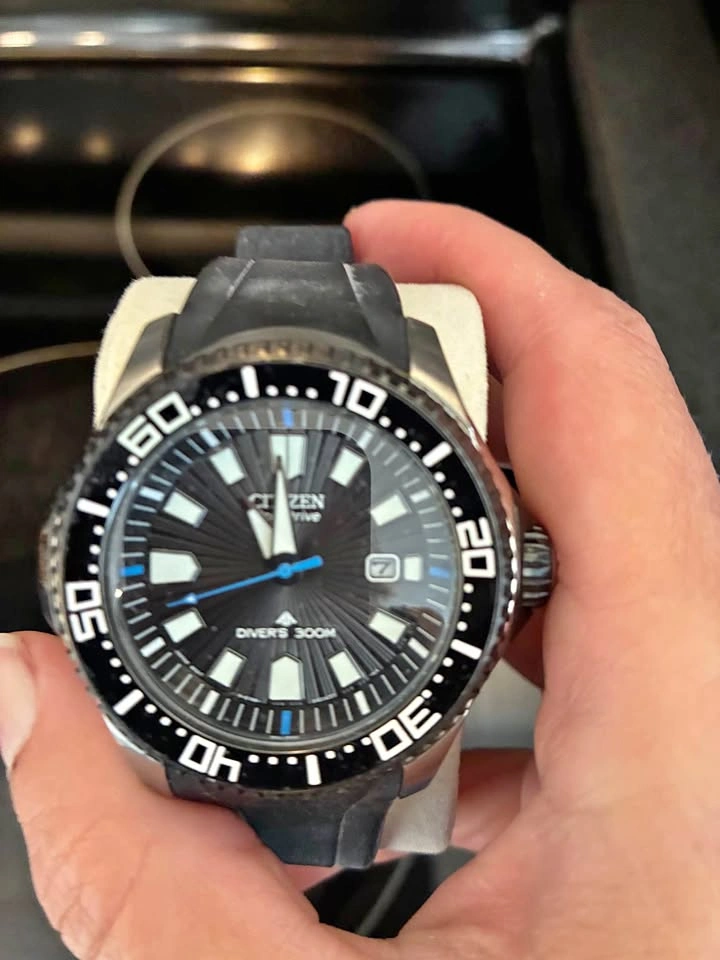 Citizen Promaster dive watch