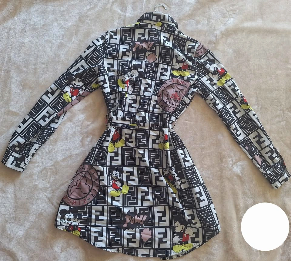 Mickey long sleeve button up dress - photo 3
