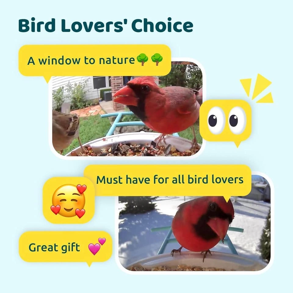 NETVUE Birdfy Smart Bird Feeder with AI Camera - photo 5