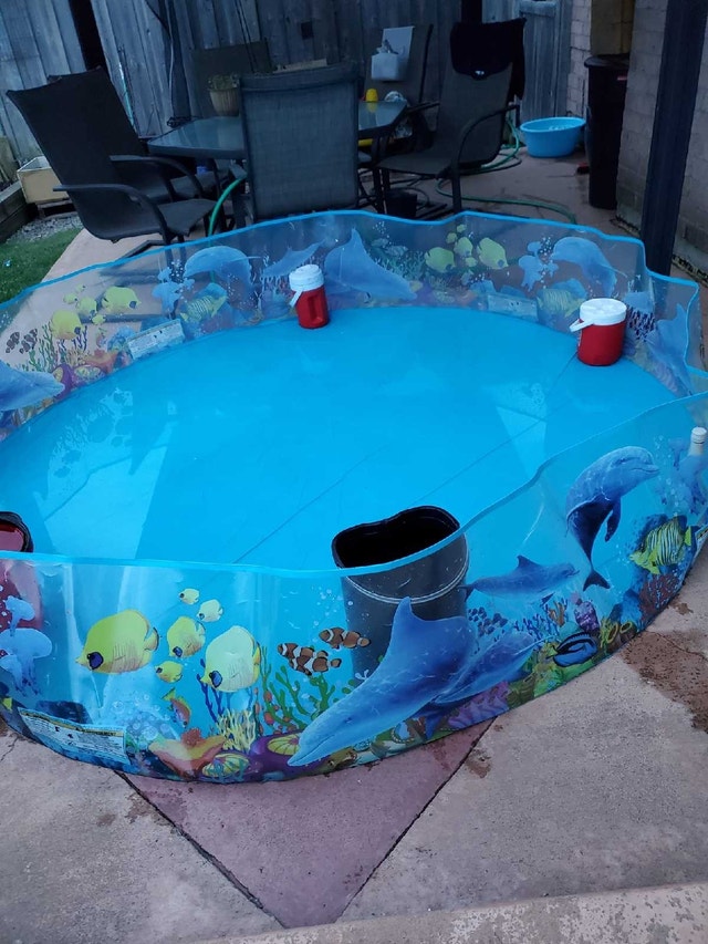 kids pool