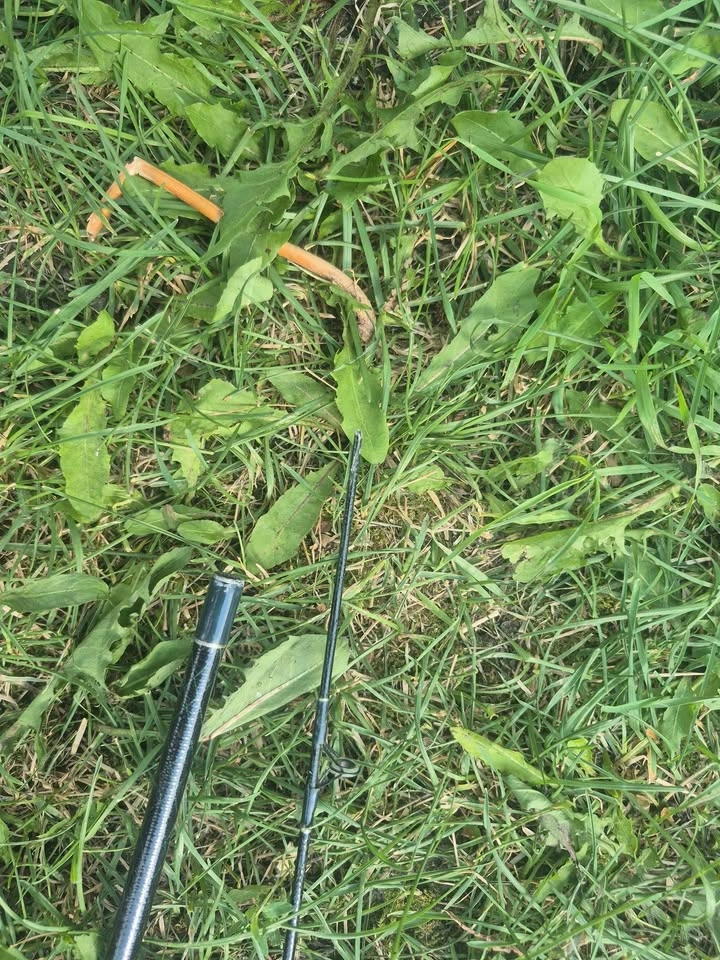 Daiwa AC13B Fishing Rod and Reel - photo 2