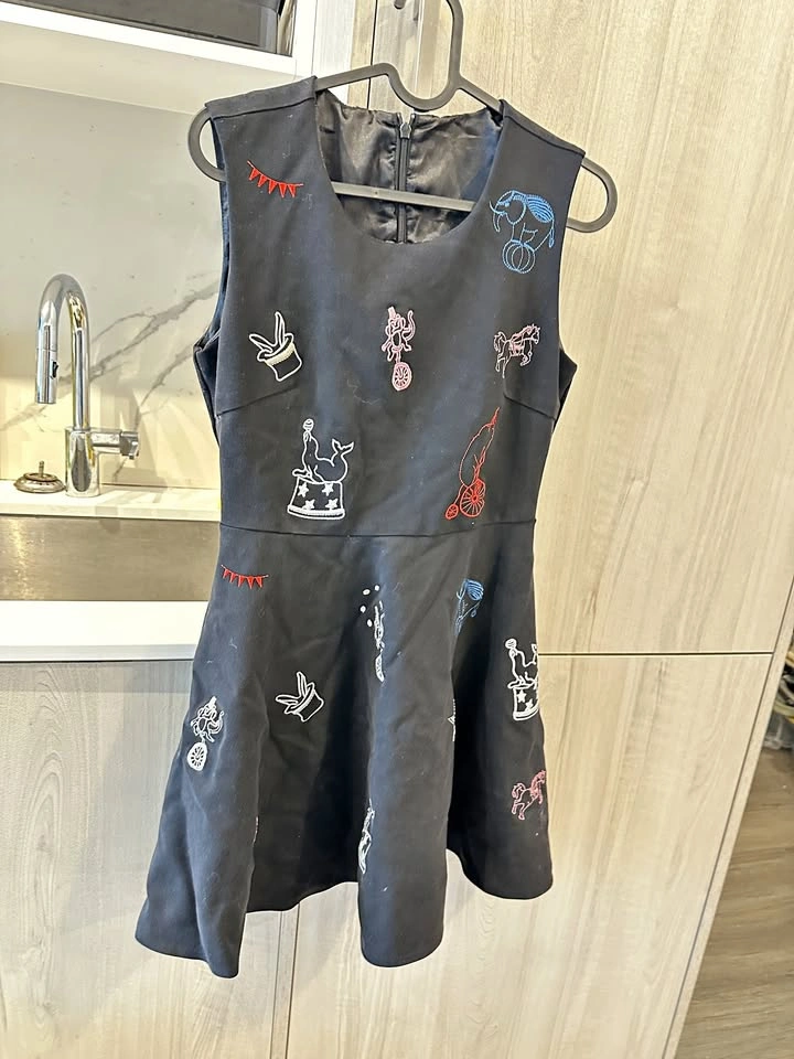 Indie Designer Circus Embroidered Dress