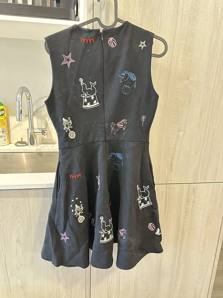 Indie Designer Circus Embroidered Dress - photo 2