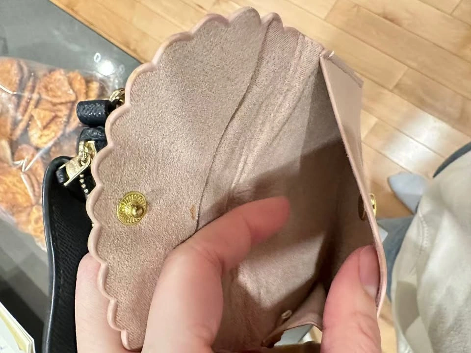 coach bag - photo 4