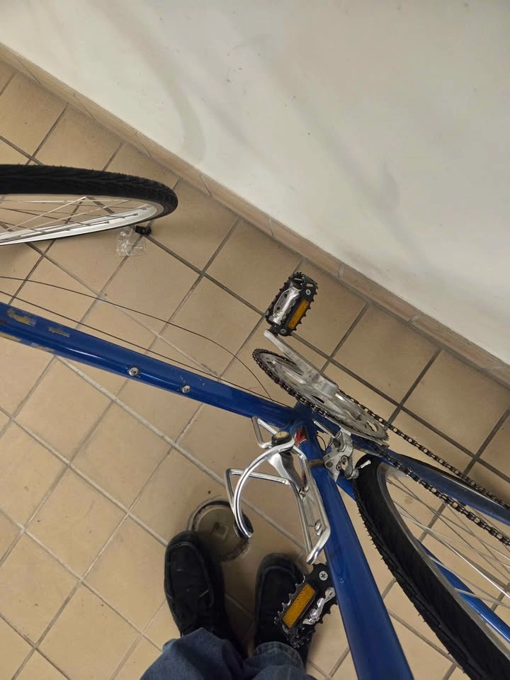 Trek 400 Road Bike 55cm - photo 3