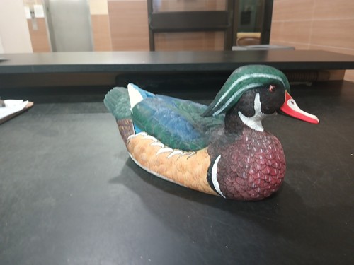 Drake Male resin Duck Decoy Figurine - photo 2