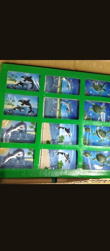 12 Pcs Animals & Nature Educational Fridge Magnets