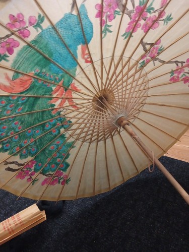 china umbrella - photo 2