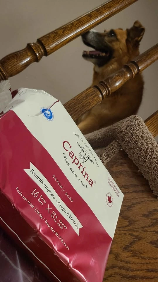 New Caprina Goat Milk Soap Bars ( Ontario Made ) - photo 2