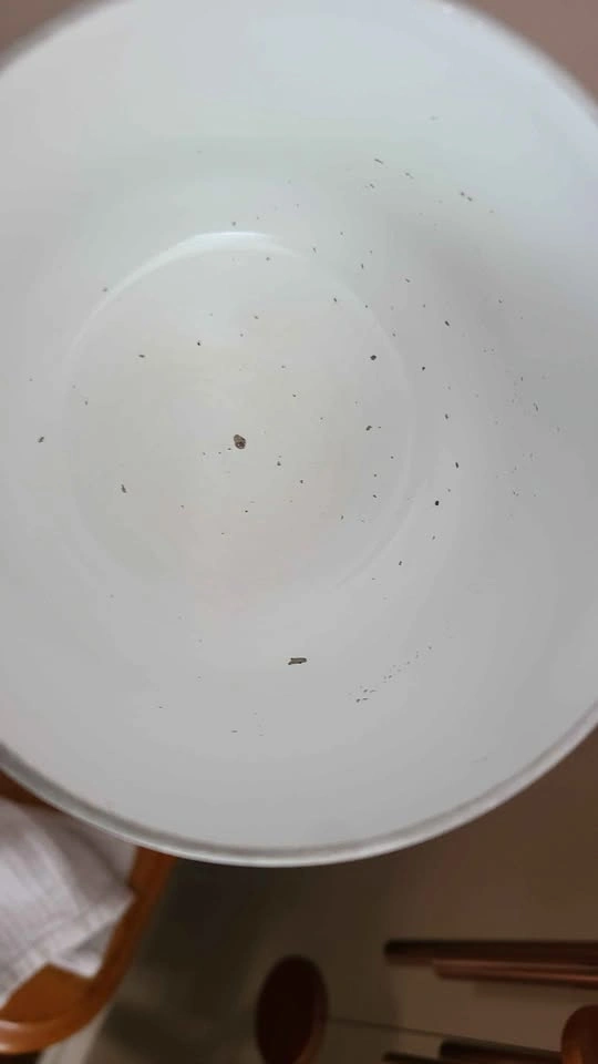 Small Camping Pot / Large Mug - photo 3