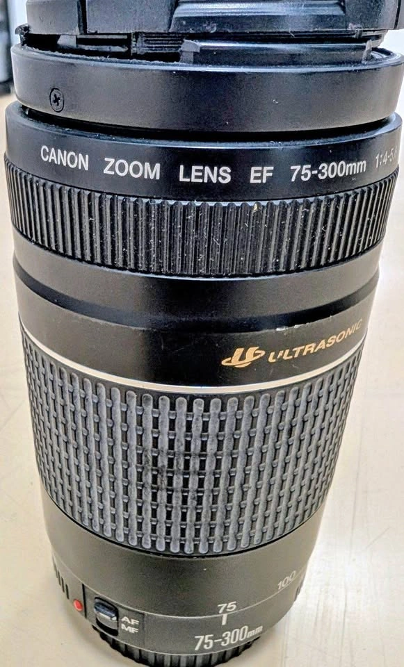 Canon EF 75-300mm f/4-5.6 III Telephoto Zoom Lens