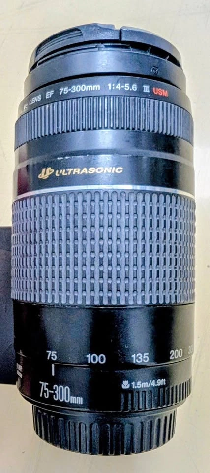 Canon EF 75-300mm f/4-5.6 III Telephoto Zoom Lens - photo 2