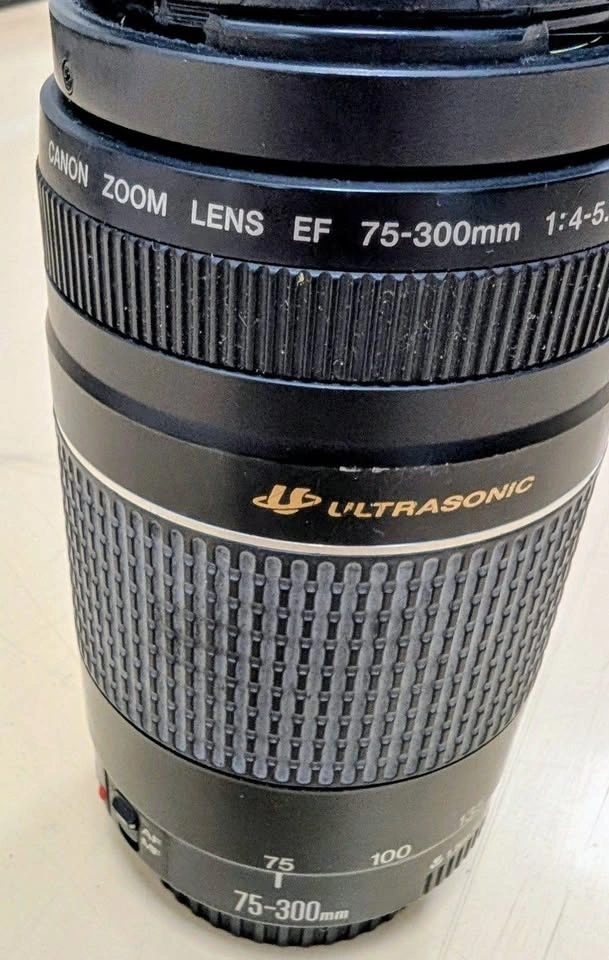 Canon EF 75-300mm f/4-5.6 III Telephoto Zoom Lens - photo 3