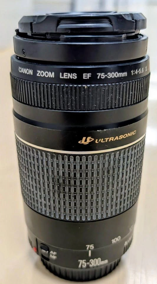 Canon EF 75-300mm f/4-5.6 III Telephoto Zoom Lens - photo 5