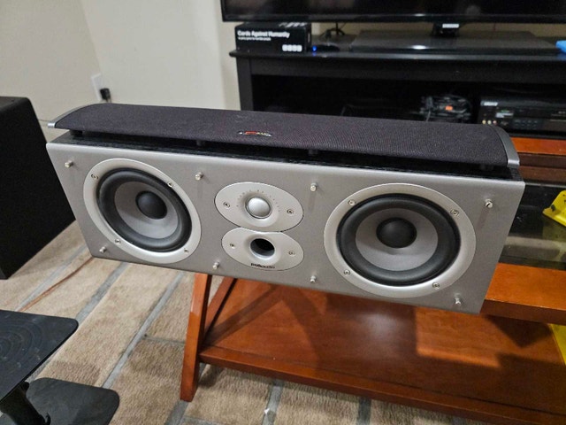 polkaudio CSi3 - photo 5