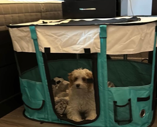 Portable Puppy Play Pen - photo 2