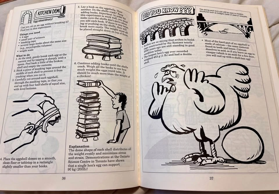 Vintage Wonderstruck Science Activities Book (1991) – CBC TV Bob - photo 2