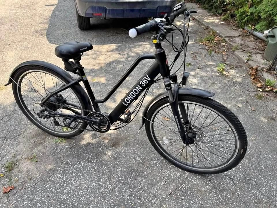 E-Bike (needs new battery)