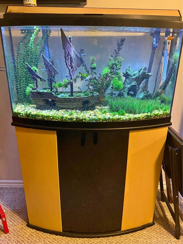 50 Gal Fish Tank in excellent condition - Willing to part out