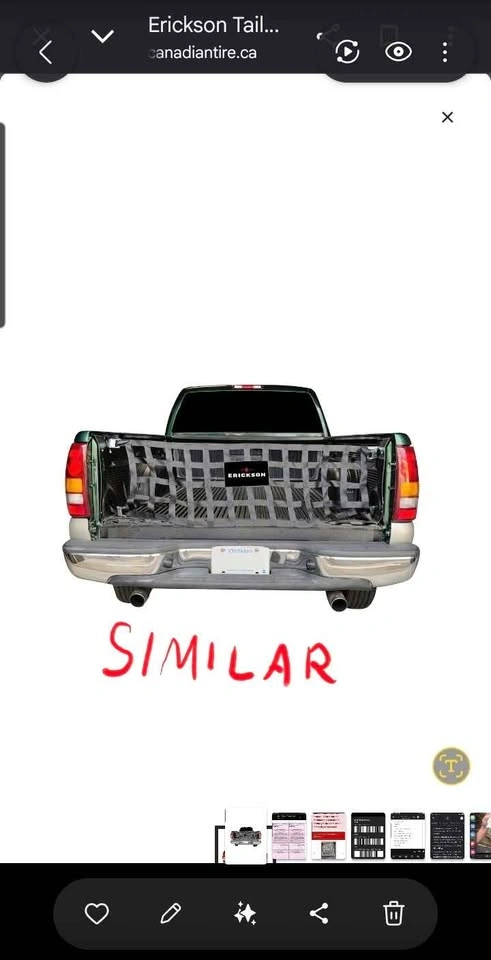 Erickson Truck Tailgate Net - photo 2