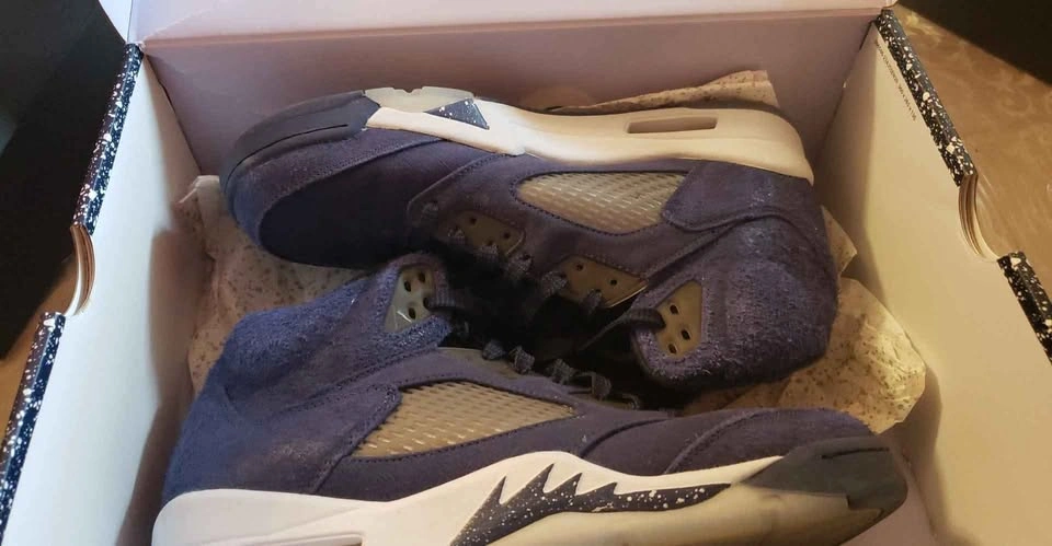 Air Jordan 5 retro se