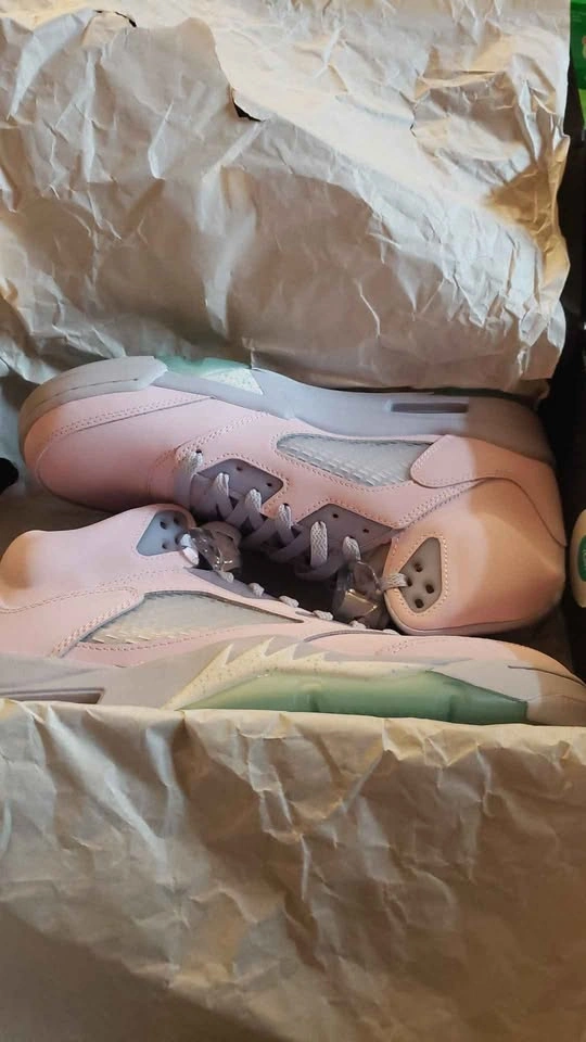 Air Jordan 5 Retro SE