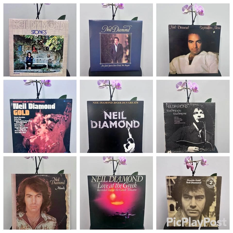 Lot of 9 Vintage Neil Diamond Records