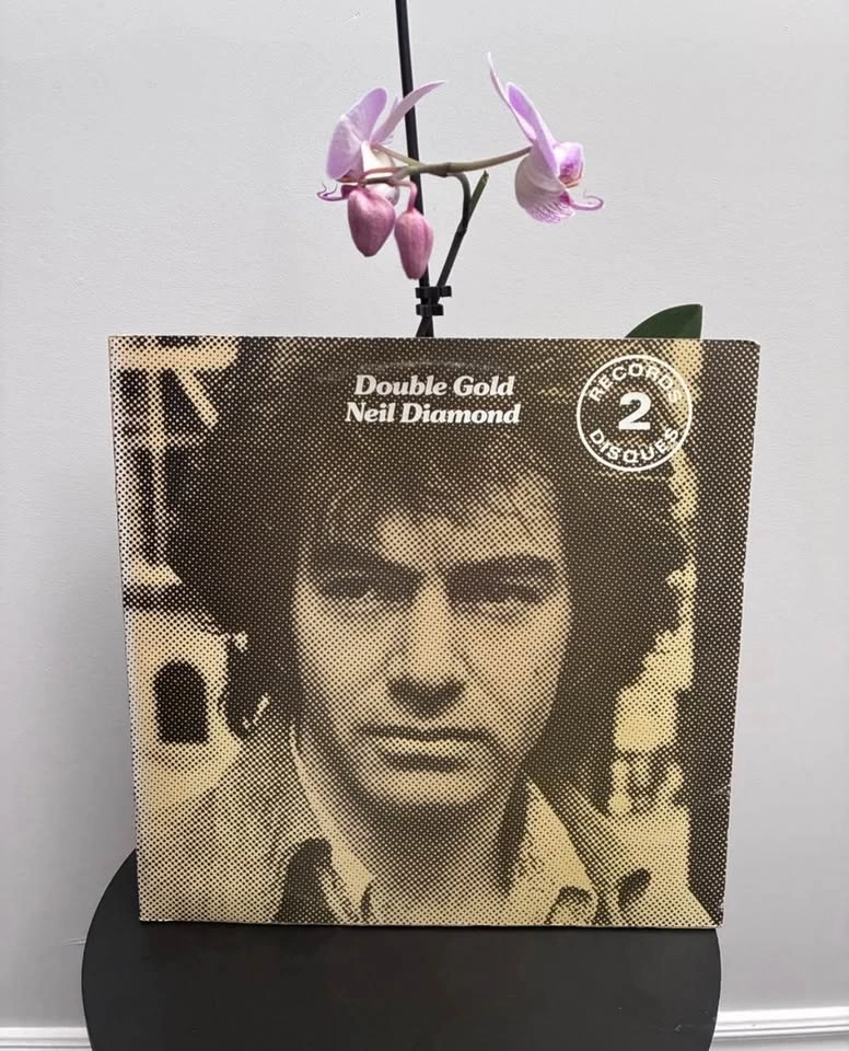Lot of 9 Vintage Neil Diamond Records - photo 2
