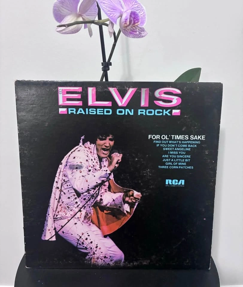 12 Vintage Elvis Presley Records - photo 3