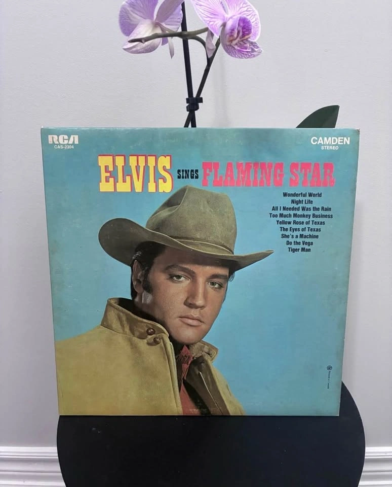 12 Vintage Elvis Presley Records - photo 4